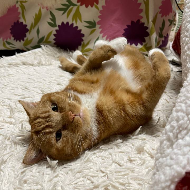 0a87fac1 16f3 47de 969c ad3c44d1773e 1640783872014