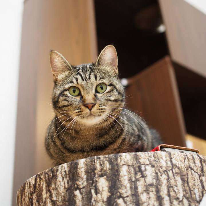 0a8837d9 1e5b 48eb b4f9 5a3c9b7e4d6a 1543710539942