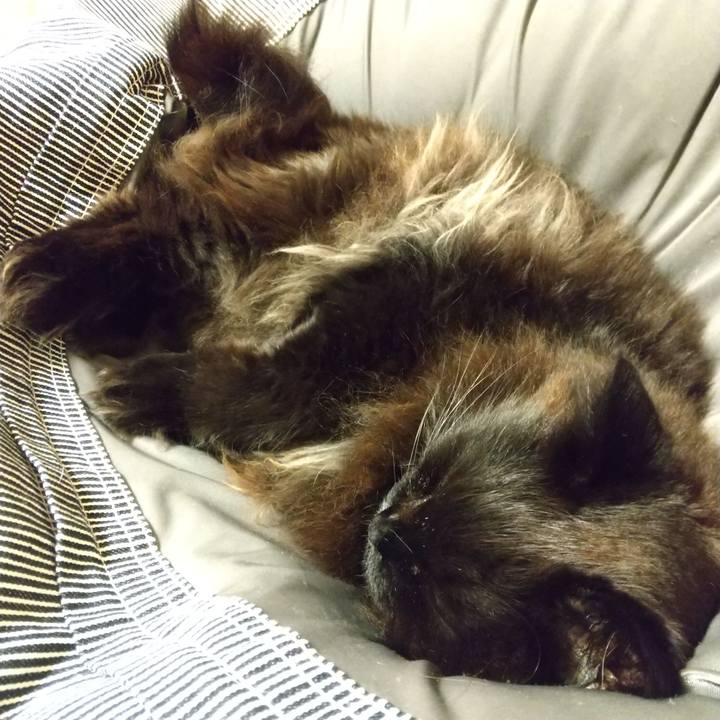 0a883a53 07dc 4dde 95a5 51f3de71989d 1621338982363