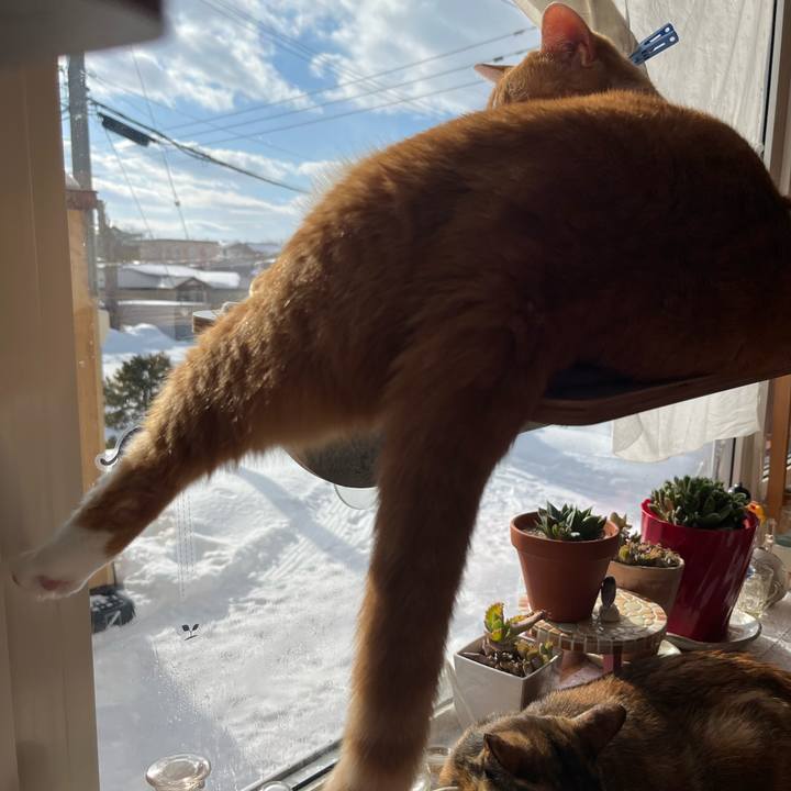 0a8844f7 add6 44e3 bf3d 8463ad5724ba 1770166707565