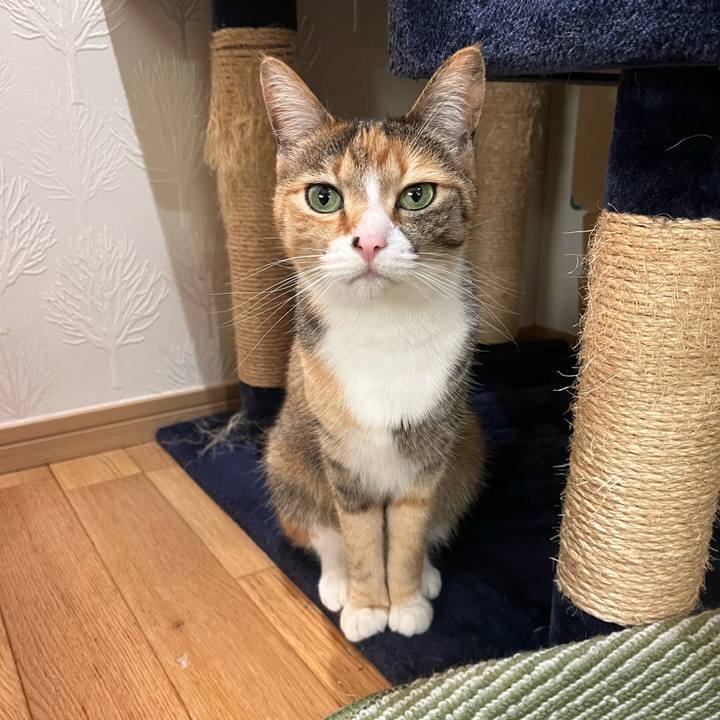 0a8849b4 f415 4123 839b 64e32208b63f 1714567298917