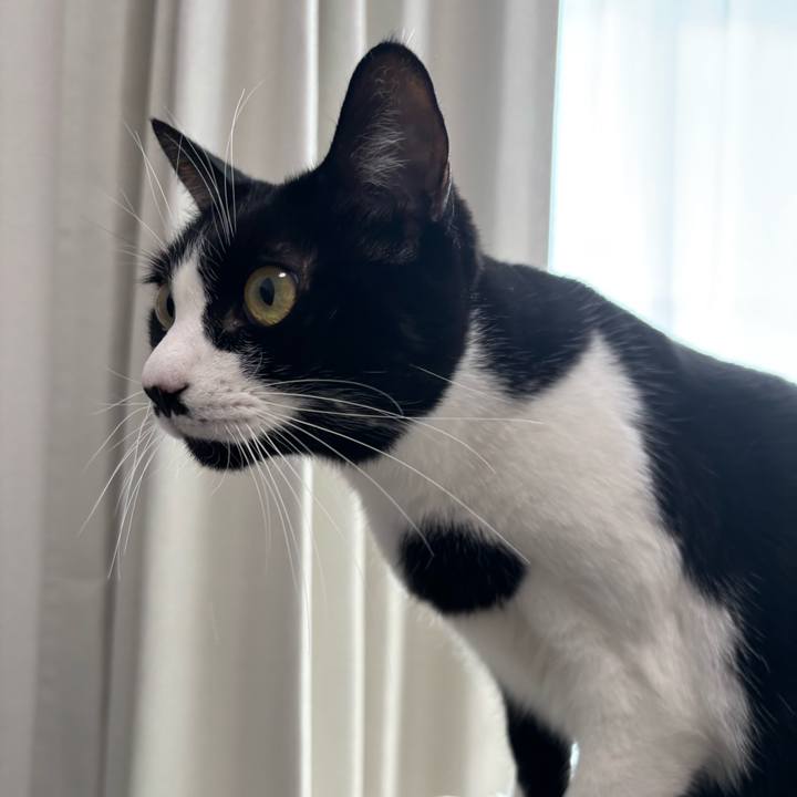 0a885010 bf74 4b9b 8f2f dcffefaf4846 1768875285098