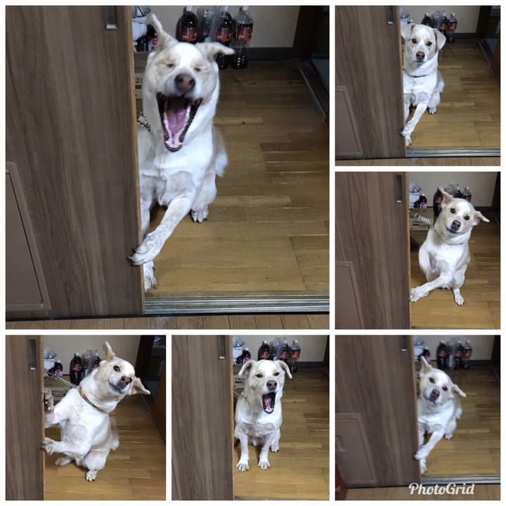 0a88dc16 2c94 4948 86b3 7247c25ee075 1515573772345