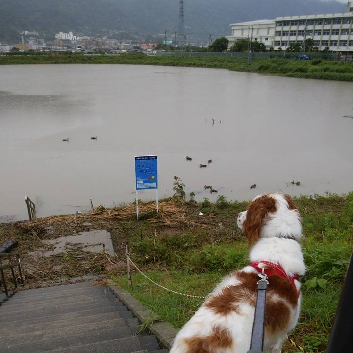 0a88ed08 04ad 4bc8 b107 5c6aef9e03fb 1530866780340