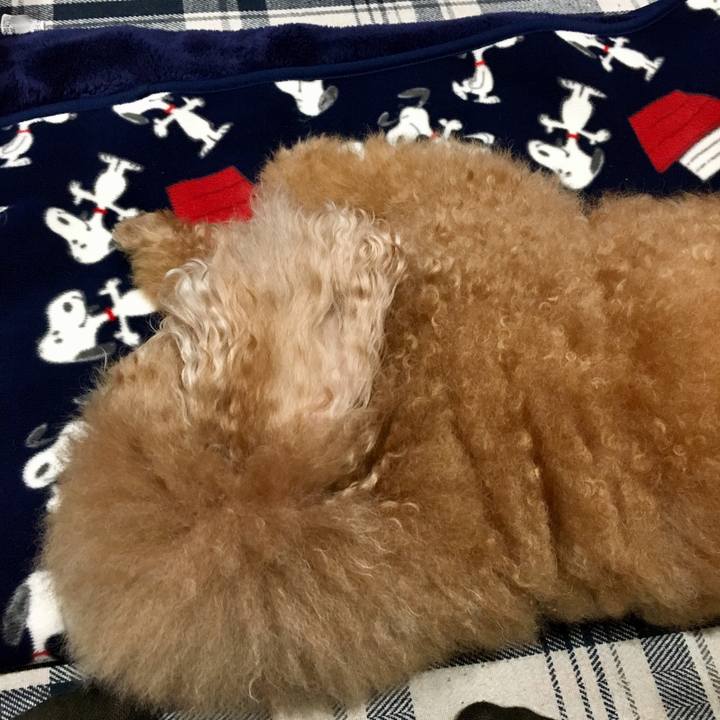 0a891ba9 d4c4 4ce0 83fd 66ba2d98095d 1517581193765