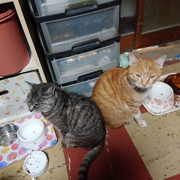 0a8920b5 07bb 485e 9c08 e293cee0289e 1571601304859