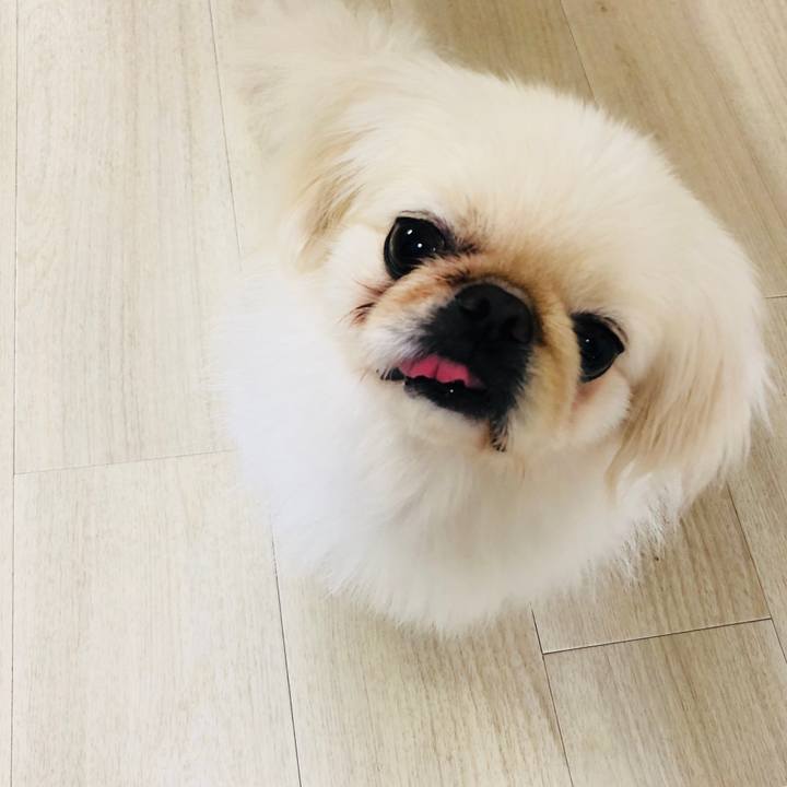 0a892e17 72b2 4d9b a3f5 caa10851a57b 1563921704794