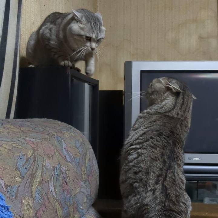 0a8931ff 7932 49c4 a4fc e9a4e0ee99e2 1700652865647