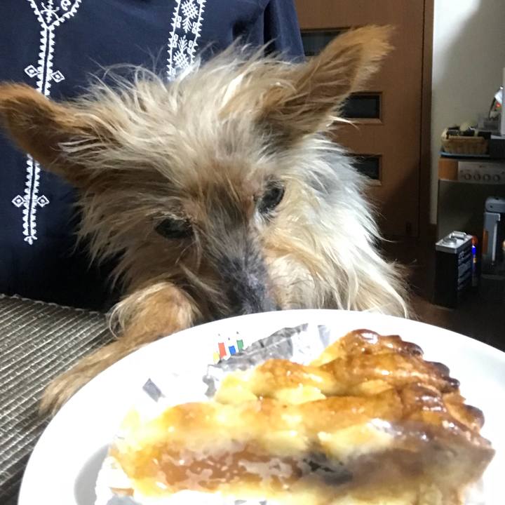 0a896113 e169 4d19 959d a0130aee3a81 1534935128056