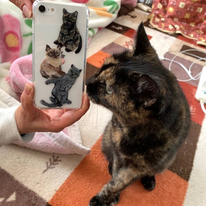 0a89a8b2 8079 48ac 8c68 216b50e37ede 1610612355523