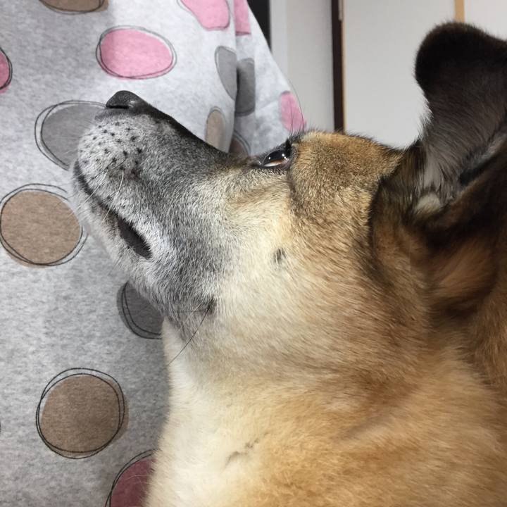 0a8a10d7 adc1 4d0c 822e a690b1b77af7 1517613127138