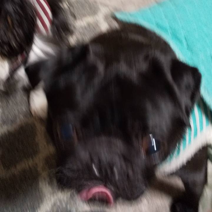 0a8a1d34 d54a 403e b1cc e53039d3fa0b 1554385612205