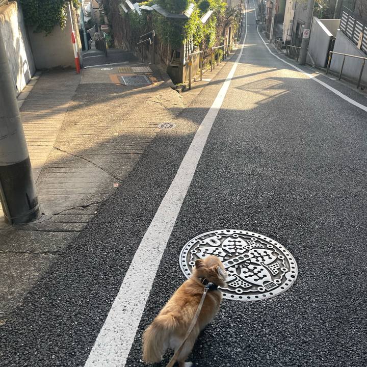 0a8a26fd ab46 4d6c a729 a54032dadbff 1768637615353