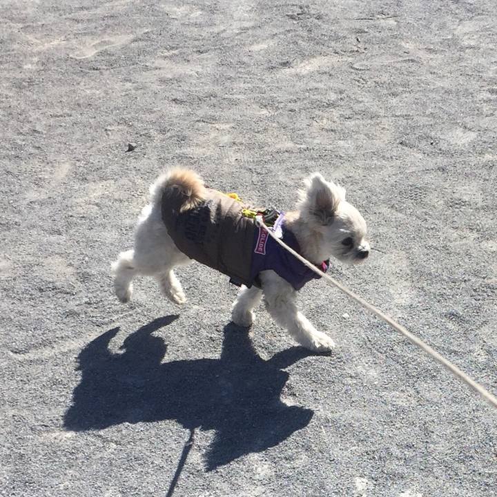 0a8a8e3c a001 4b0f 9241 d56e7c30905f 1518933858584