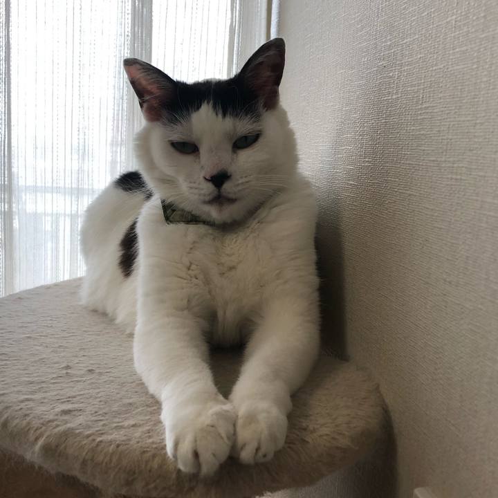 0a8a9ed9 6e32 4fd6 8097 beb379c0f8b3 1563319936614