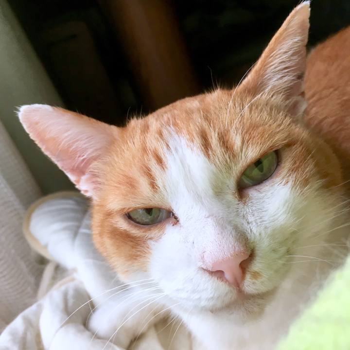 0a8aac33 3f6d 4e47 a738 d5cc985c746c 1565258072083