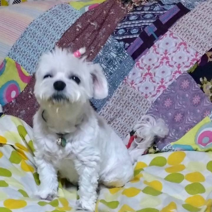 0a8aecd4 84d9 46fa b910 dd5bbf26d7ea 1751032948015