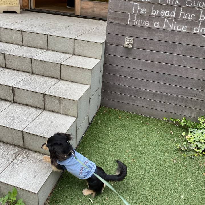 0a8aef07 5deb 49db 8f38 0c70a6c707c1 1716692215187