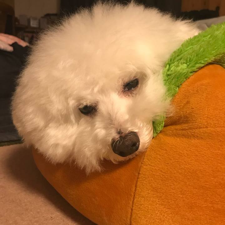 0a8afc52 b8ec 460a ac95 8ff1c7d46e54 1537535532720