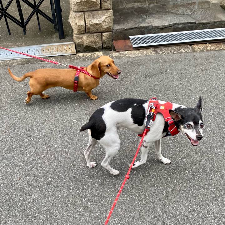 0a8b3020 ffdd 43f0 bde0 63becaf309a0 1626214017567