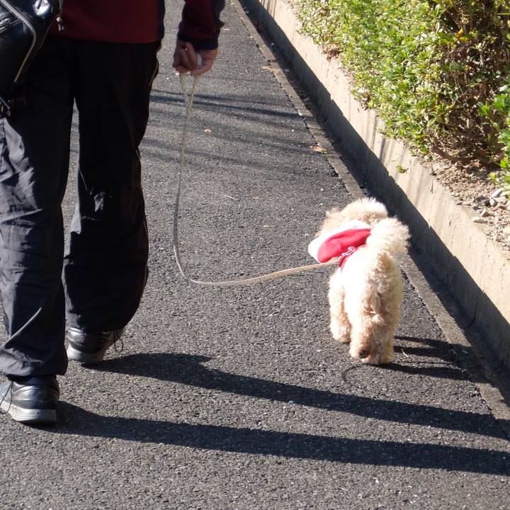 0a8b3f83 2869 4558 a7ac 2f982ec4d284 1576394153683