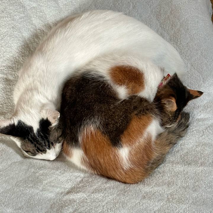 0a8b4b55 562d 48b0 9061 3dff44f2205e 1699673270214