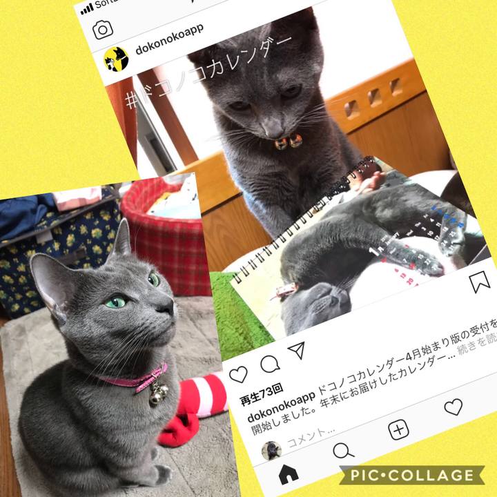 0a8bb194 8d15 4f7b 895b ccc7c5a9d83c 1549445447652