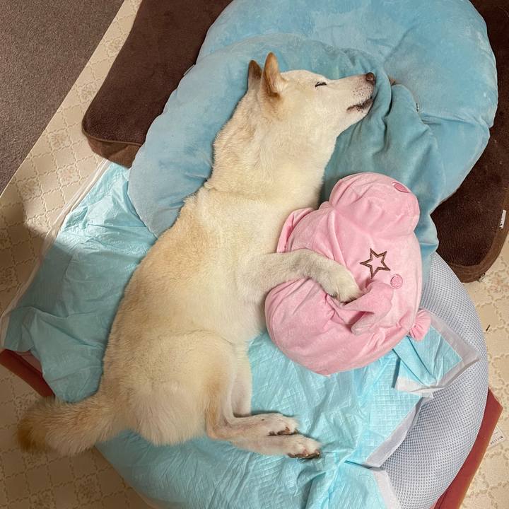 0a8bb5dc ccdb 4e89 8649 1ef9ec5818fc 1661928700301