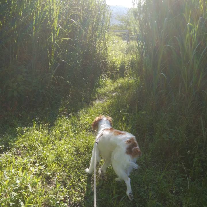 0a8bbaf5 8b1f 4cfd ad45 10b1e26c0799 1529122775018