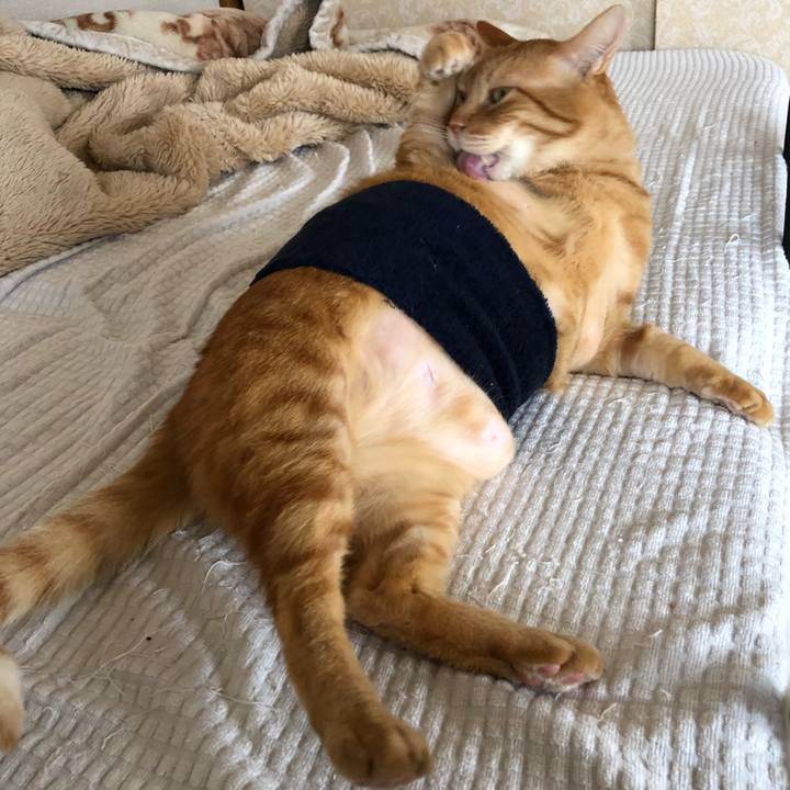 0a8bca97 0ad3 4e0d a92c 12b451d24fa4 1636848670300