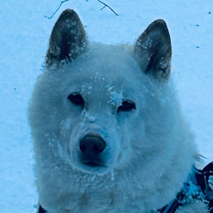 0a8bcf61 a671 4891 88cf b6606bb84255 1733528984133