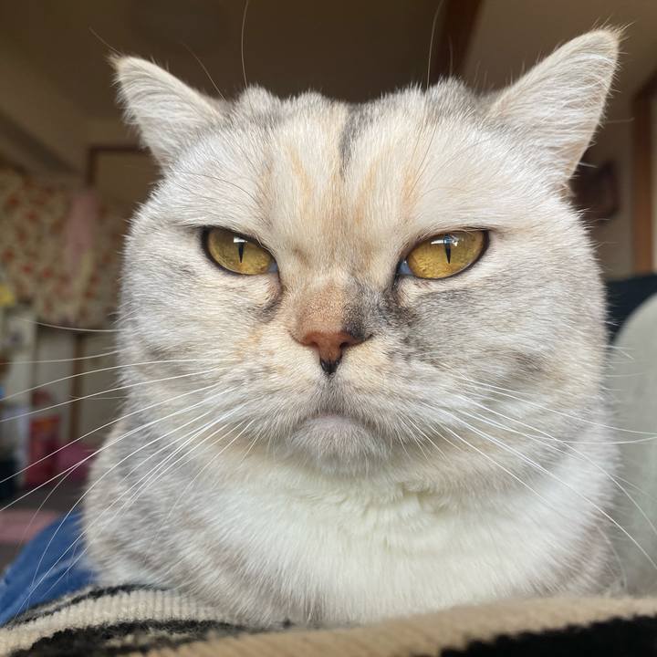 0a8bd88e fcf8 4c94 96eb 8ce413b1767e 1739419303784