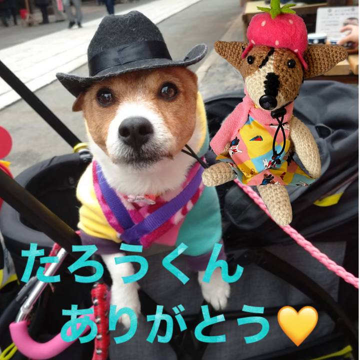 0a8bda7d e22b 43b8 a3f7 2e86ac12a3eb 1596848477415