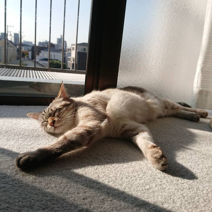 0a8c5507 01d1 4884 96ce 5e10d8ddf651 1605416672808