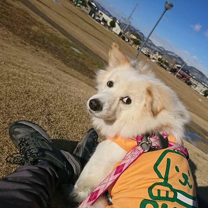 0a8c7178 c67f 4439 8b05 f9db8d26698f 1514856671579