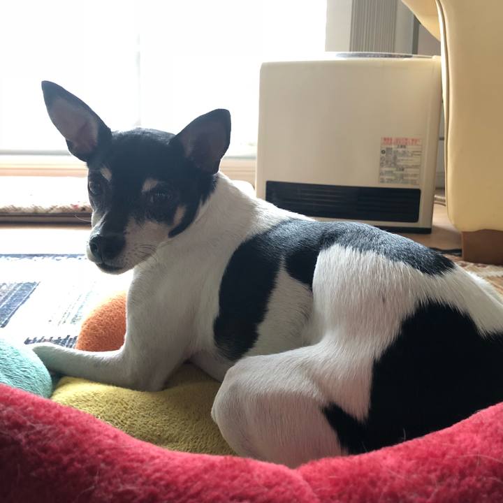 0a8c7c44 37fa 484b 95ed bbc4e40f4930 1516523904548