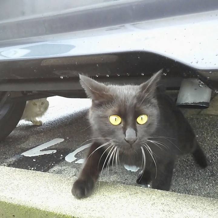 0a8c934c 8702 41ba 903e 02f0548bd5ec 1552805861623