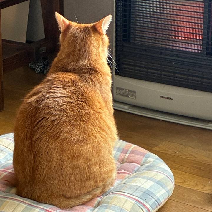 0a8cb339 317c 4809 ac09 5270dc5ca074 1760232557573