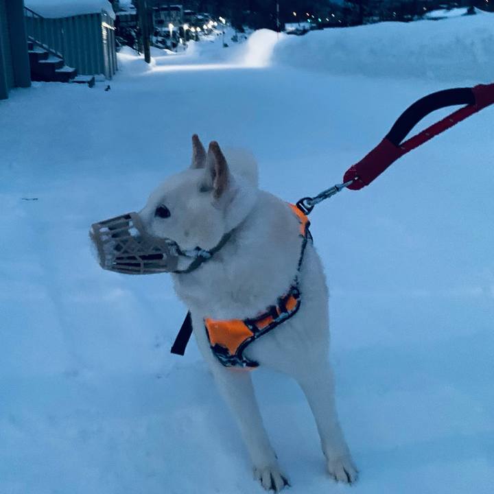 0a8cb98f 70ab 4dde b0ec ecff86fd3937 1672956779416