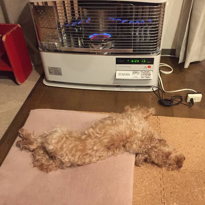 0a8d07f6 7e86 410c 9442 6680b4c67de5 1515015396413