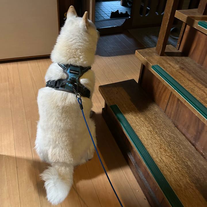 0a8d0dbe 308c 4497 89f5 f49e2f0d8b82 1758411529548