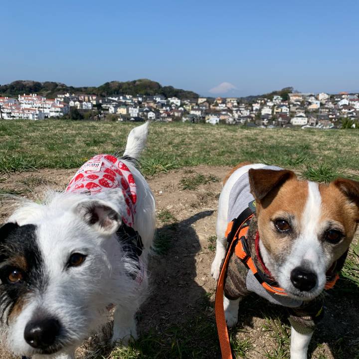 0a8d3cc0 cbda 42dc ae14 1494d154852c 1616547478295