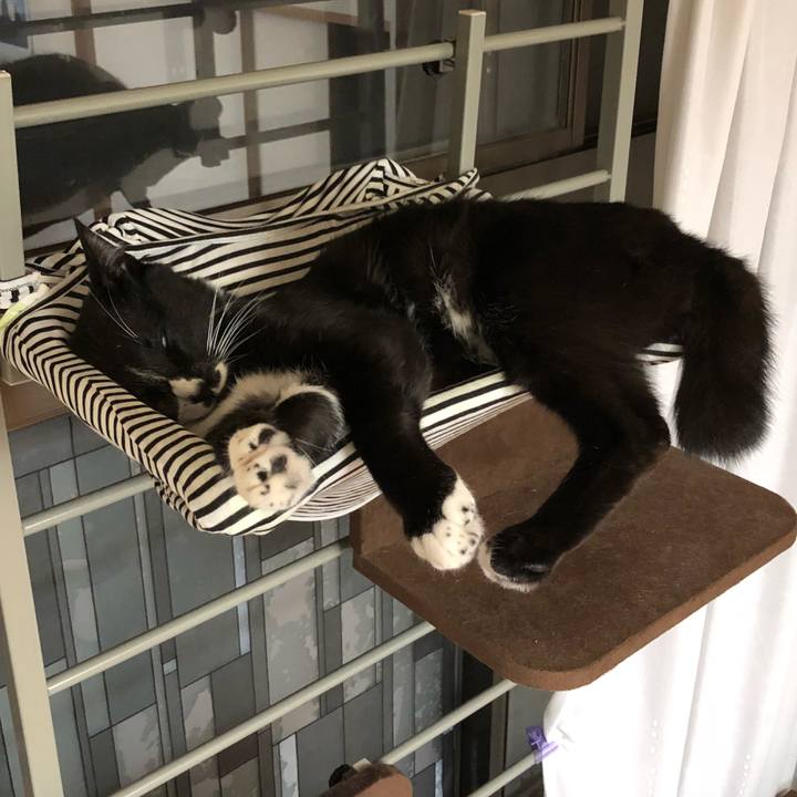 0a8d430c 7938 4bda a696 4e140613e9ff 1529978227131