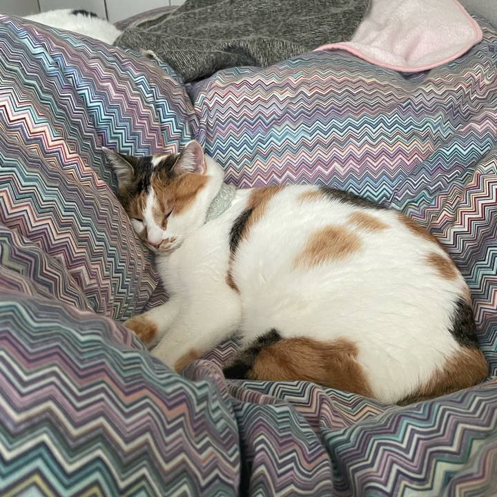 0a8d950b 7f7b 4057 bb4c 971398f885fc 1670456259310