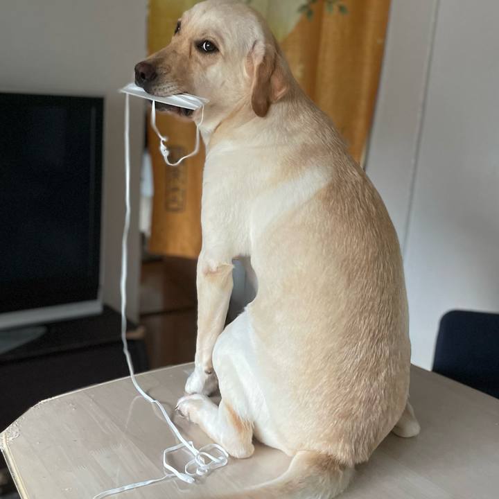 0a8dc09c 285f 41e9 afd4 3ddbafd7ea9d 1694477992182