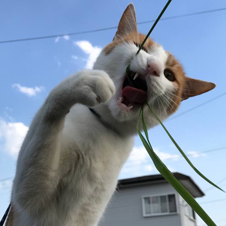 0a8dce68 c431 4458 8274 5d2f821beeb7 1525522176758