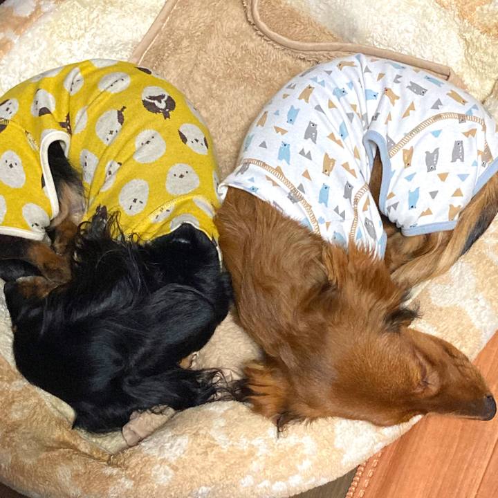 0a8ddcda d13b 4228 8f31 7dfc43492f27 1705583494007