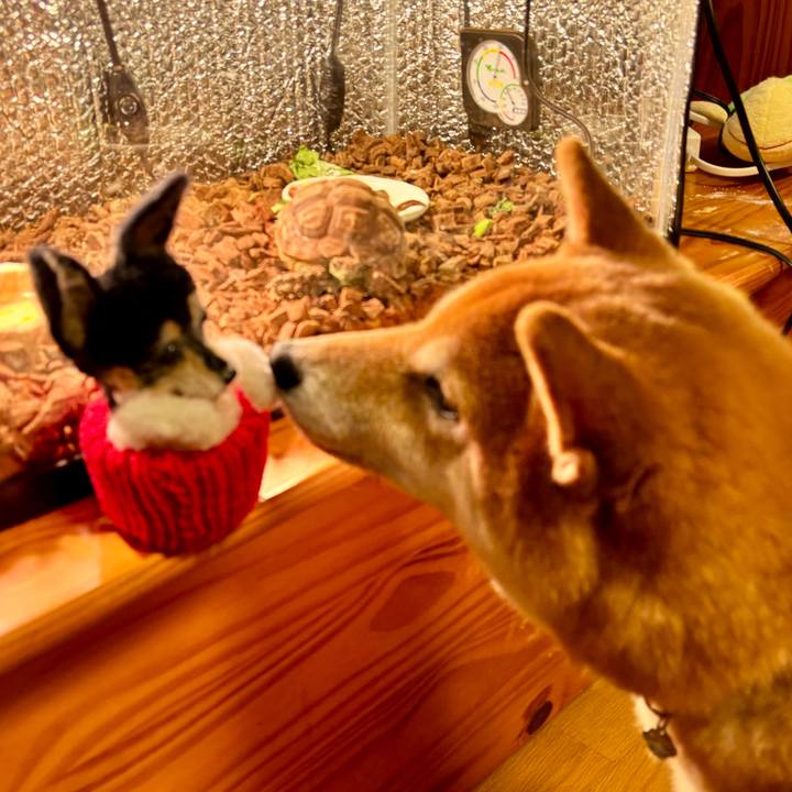 0a8dec4f 9ffb 46dd b360 157e61c75b56 1700283116227