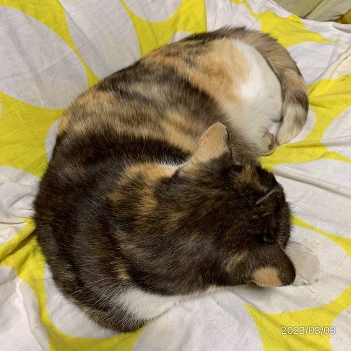 0a8e0312 f4eb 4fe3 8895 17a4e8c96e10 1677793844196