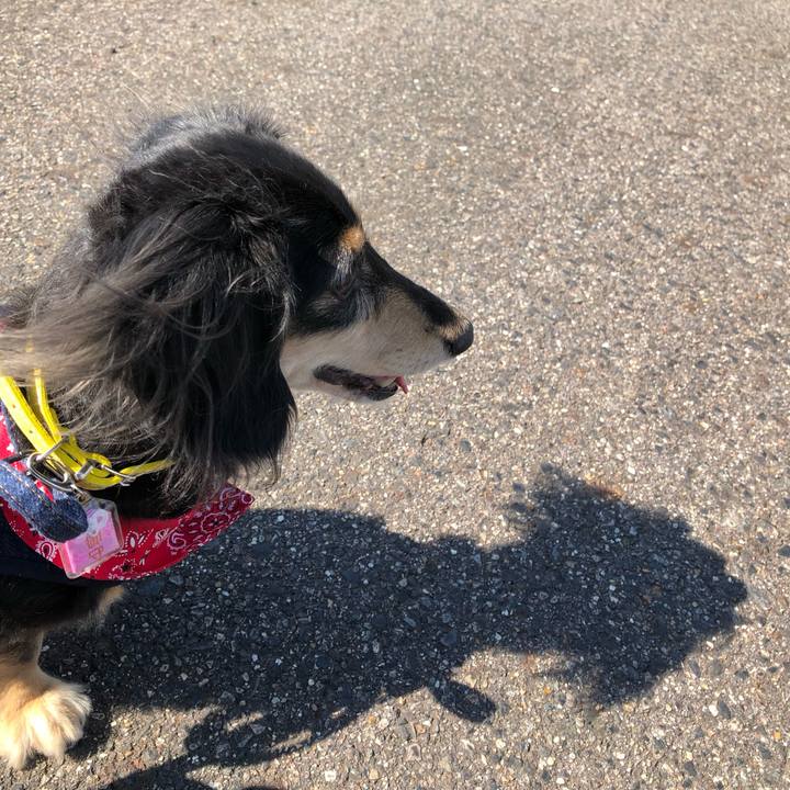 0a8e251b 8fcd 4247 bedb 63d5bfaef3f2 1600740081833